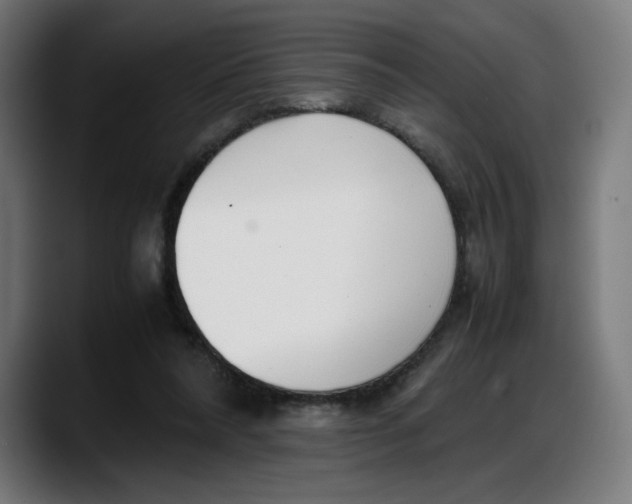 X0000087750304200705291039