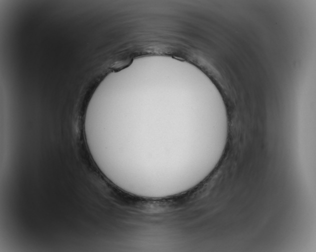 X0000087750305200705291039