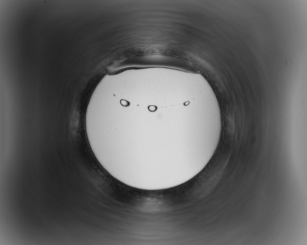 X0000087750308200705291039