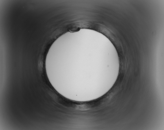 X0000087750309200705291039