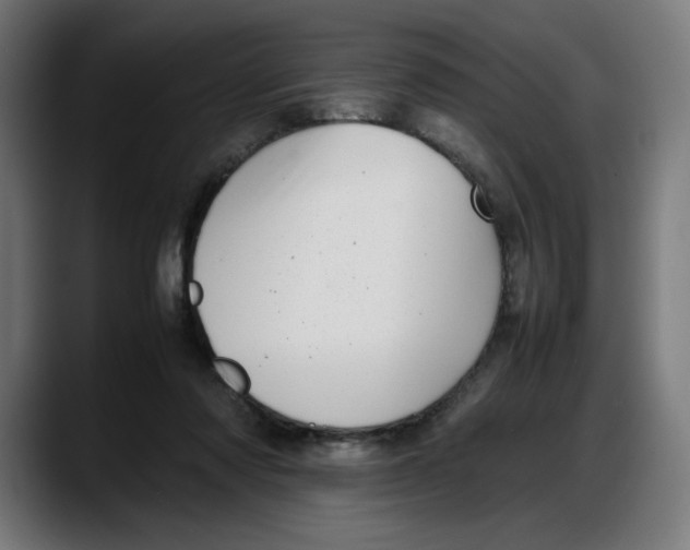 X0000087750310200705291039