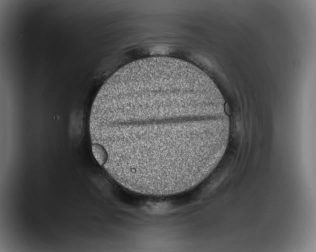 X0000087750311200705291039