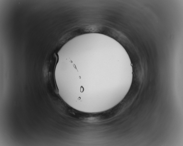 X0000087750312200705291039