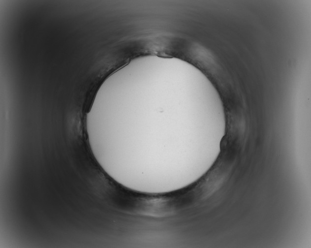 X0000087750313200705291039