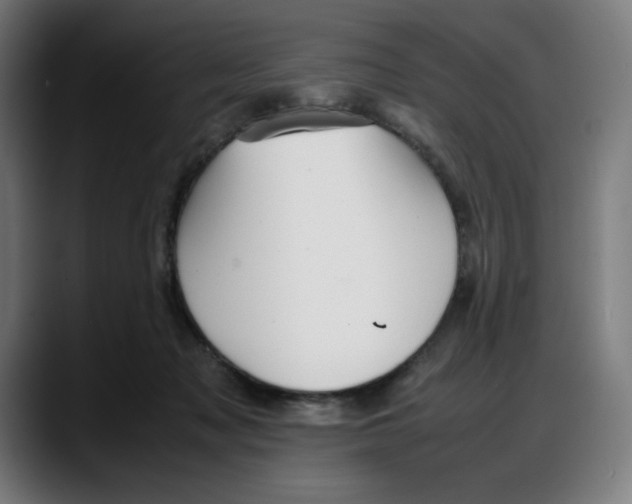 X0000087750317200705291039