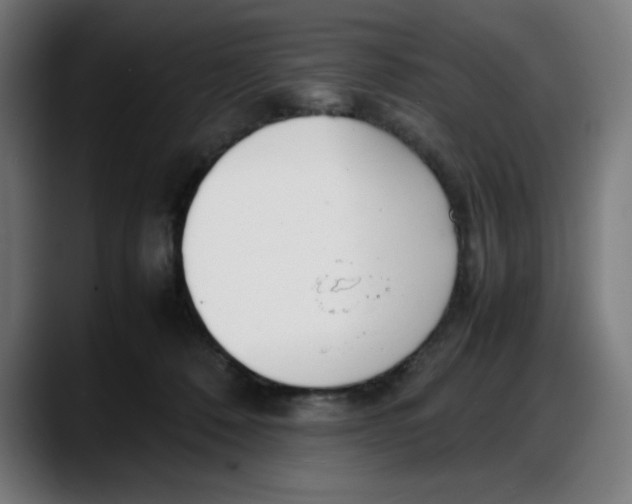 X0000087750320200705291039