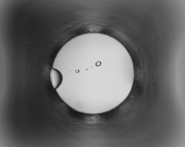 X0000087750321200705291039