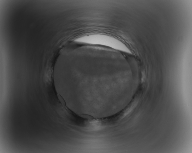 X0000087750325200705291039