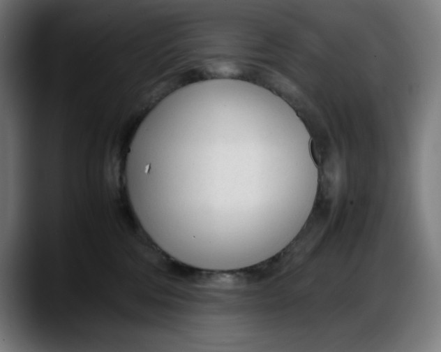 X0000087750330200705291039