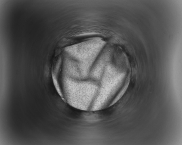 X0000087750331200705291039