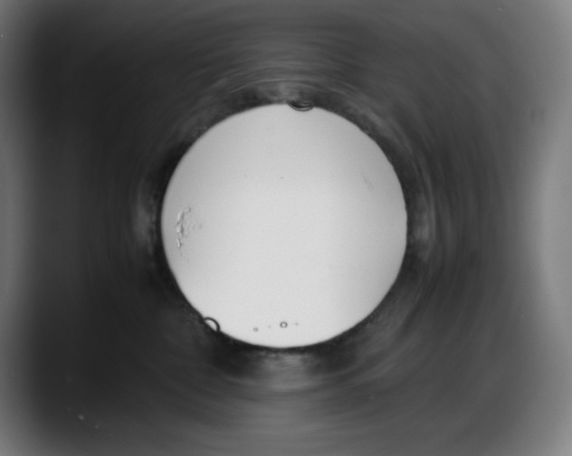 X0000087750332200705291038