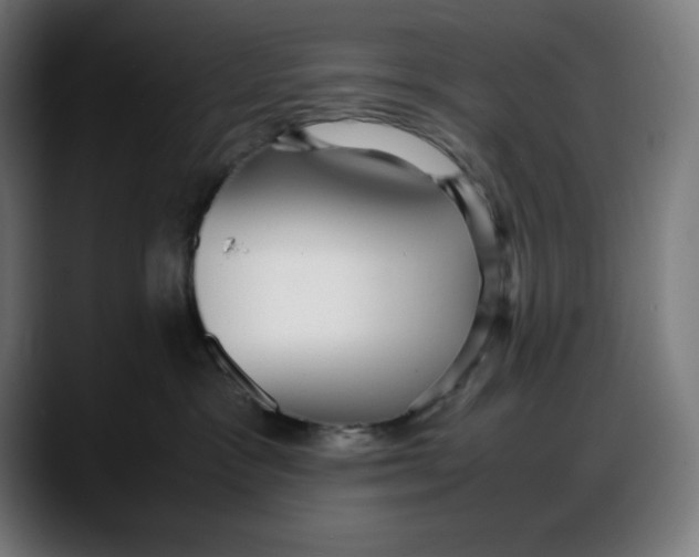 X0000087750333200705291038