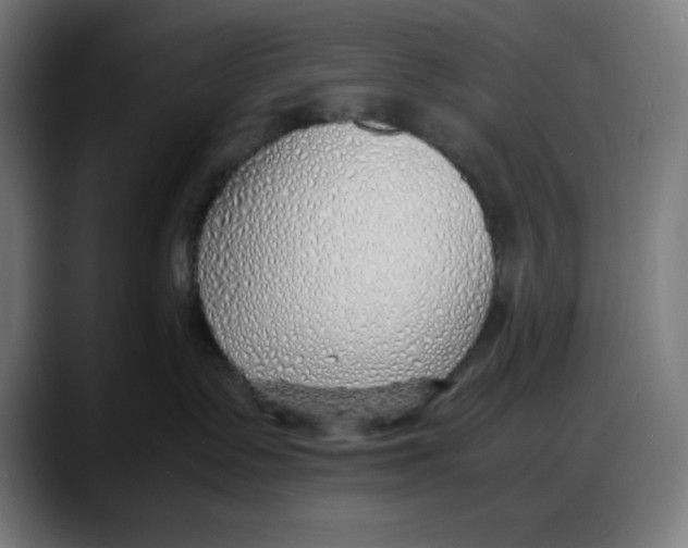 X0000087750335200705291038