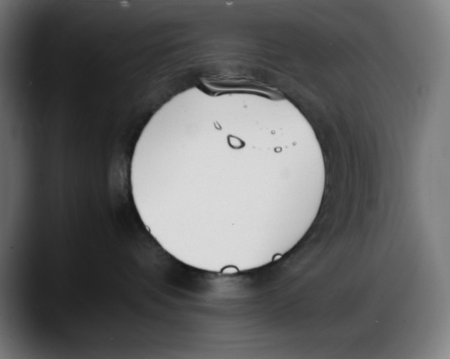 X0000087750336200705291038