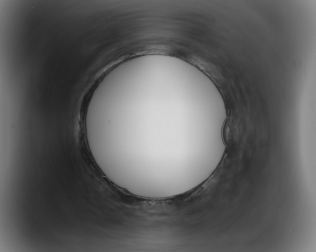 X0000087750338200705291038