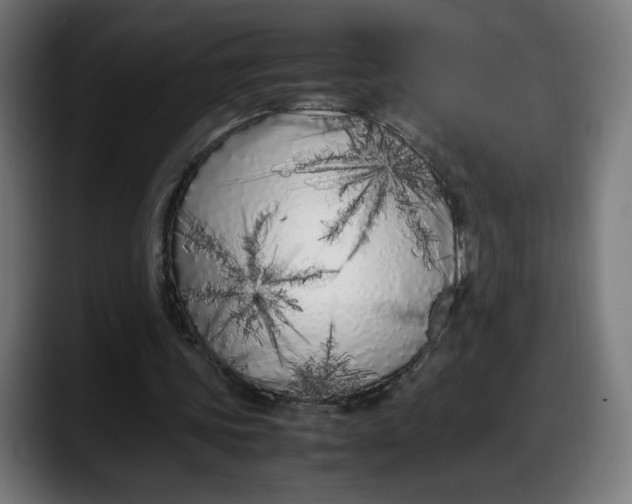 X0000087750339200705291038