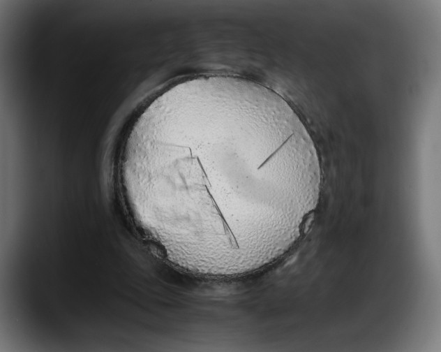 X0000087750343200705291038