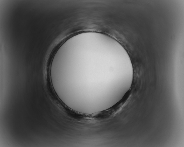 X0000087750344200705291038