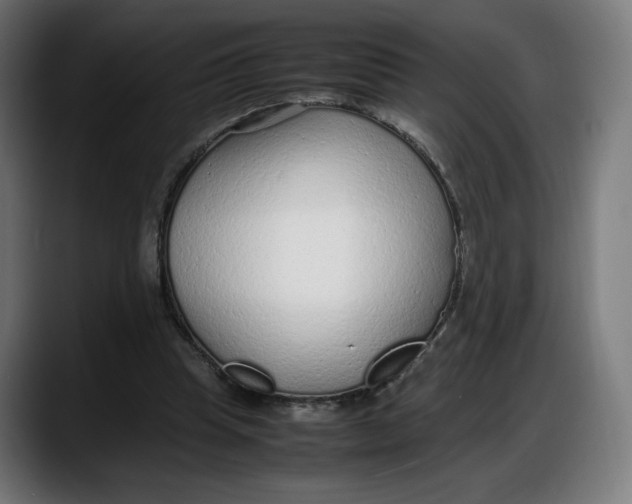 X0000087750345200705291038