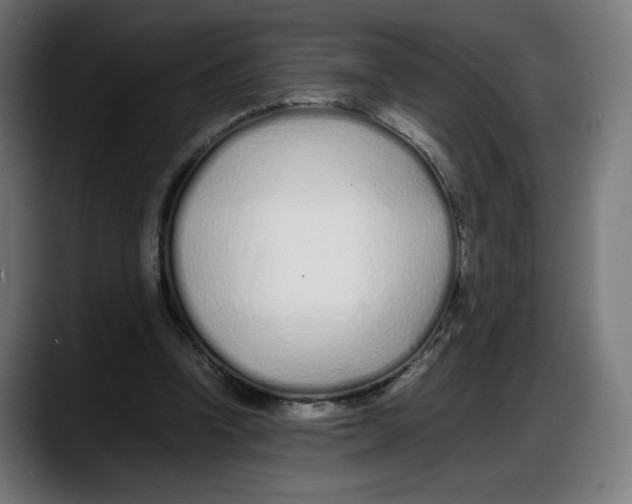 X0000087750346200705291038