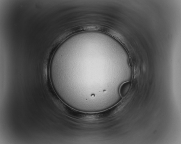 X0000087750349200705291038