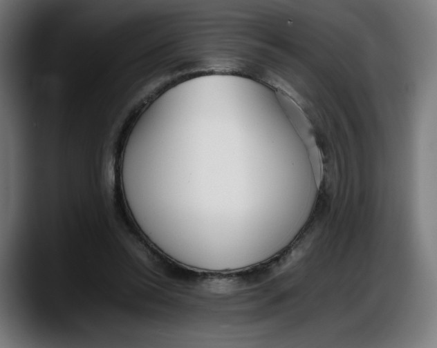 X0000087750350200705291038