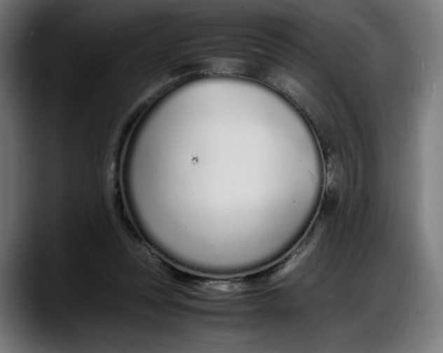 X0000087750351200705291038