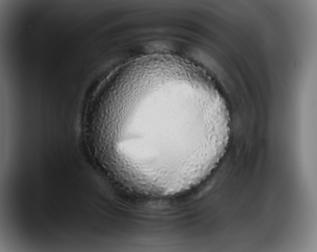 X0000087750353200705291038