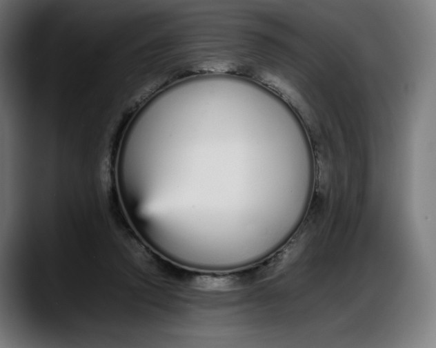 X0000087750354200705291038