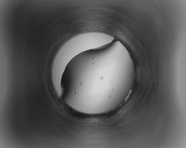 X0000087750356200705291038