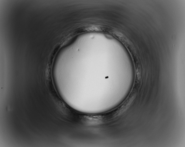 X0000087750359200705291038