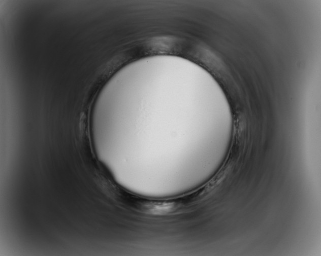 X0000087750361200705291038