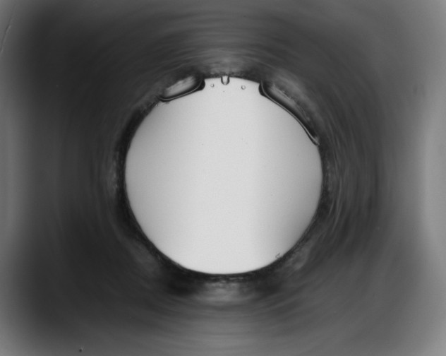 X0000087750362200705291038