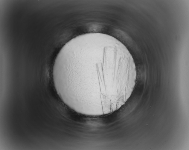 X0000087750363200705291038