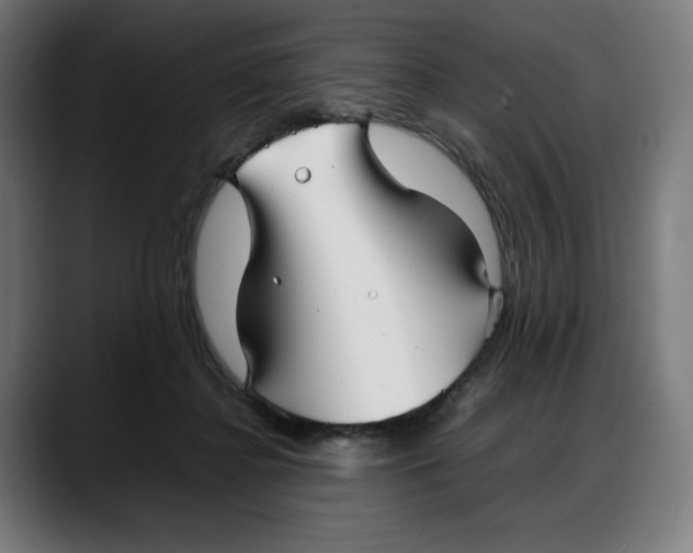 X0000087750364200705291038