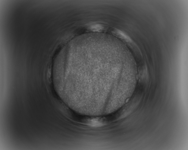 X0000087750365200705291038