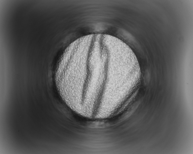 X0000087750366200705291038