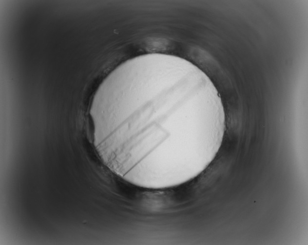 X0000087750367200705291038