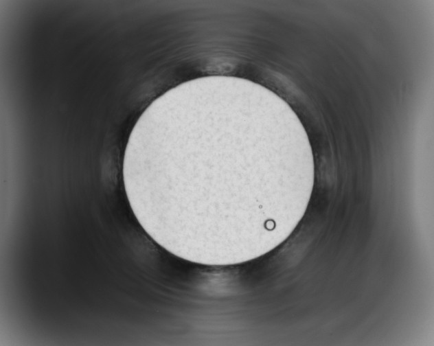 X0000087750370200705291038