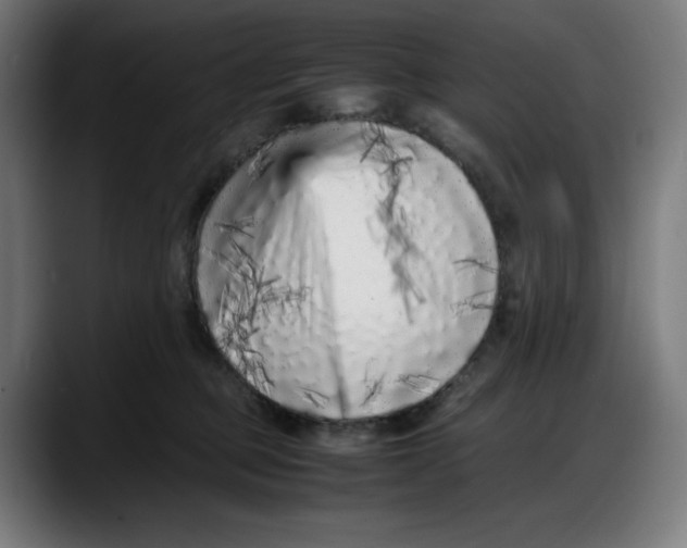 X0000087750373200705291038