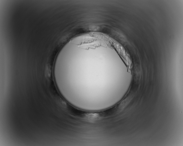 X0000087750374200705291038