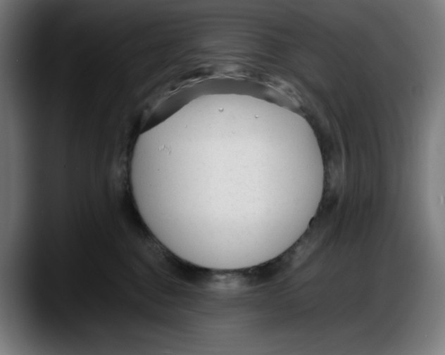 X0000087750376200705291038