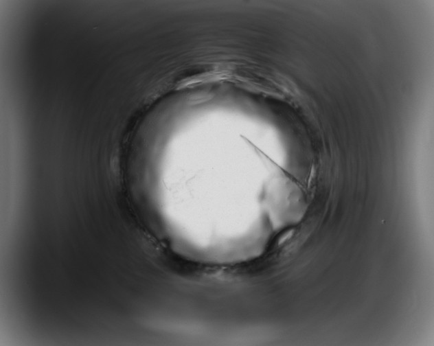 X0000087750377200705291038