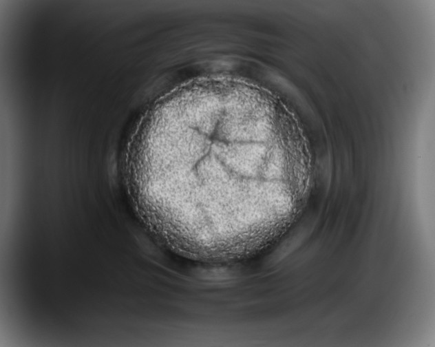 X0000087750381200705291038