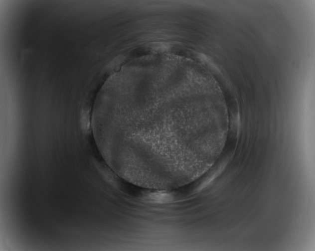 X0000087750383200705291038