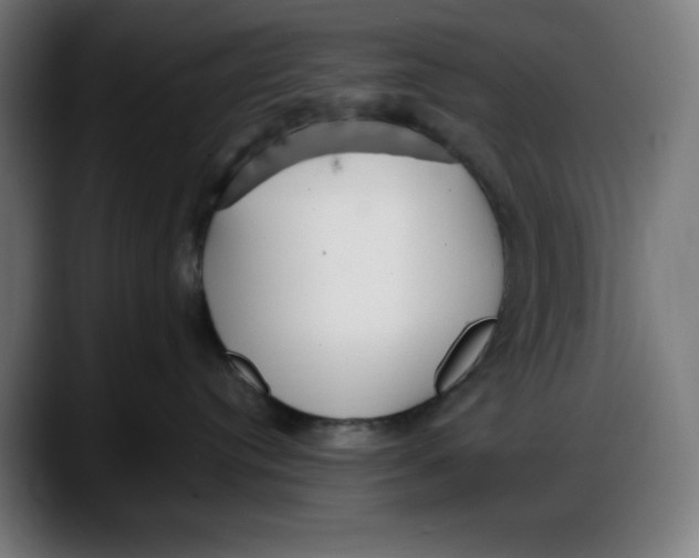 X0000087750384200705291038