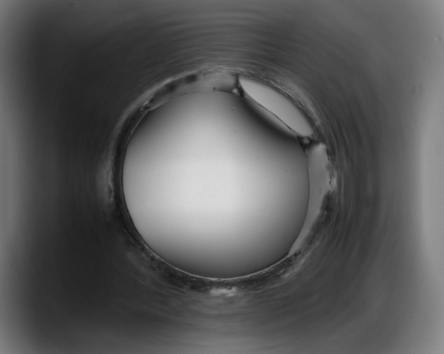 X0000087750388200705291038