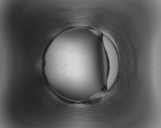 X0000087750389200705291038