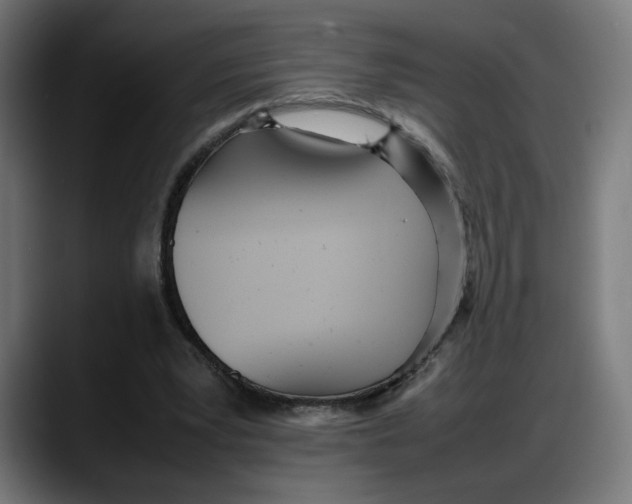 X0000087750391200705291038