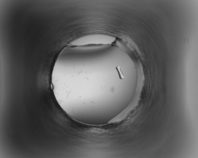 X0000087750393200705291038